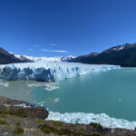 el calafate rosaro