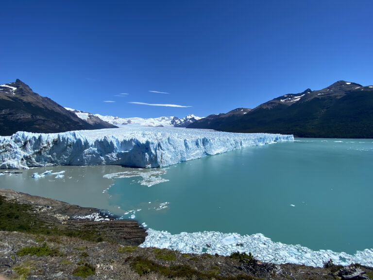 el calafate rosaro